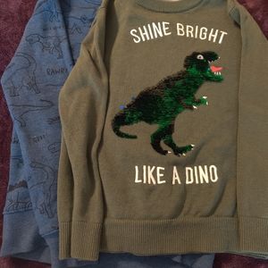Dinosaur themed long sleeve sweater and sweatshirt
